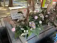 武蔵一宮氷川神社(埼玉県)