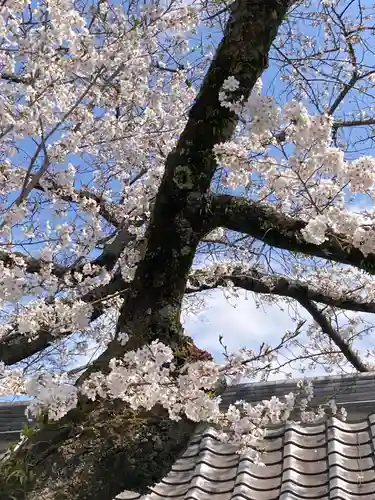 布施弁天 東海寺(千葉県)