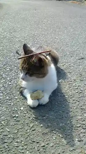 美與利大明神の動物