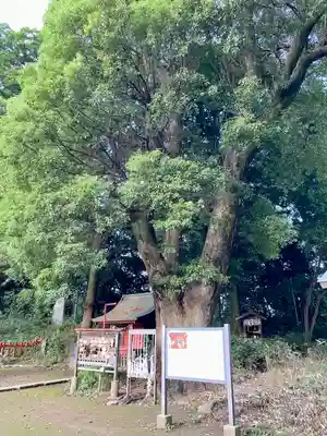 三芳野神社(埼玉県)