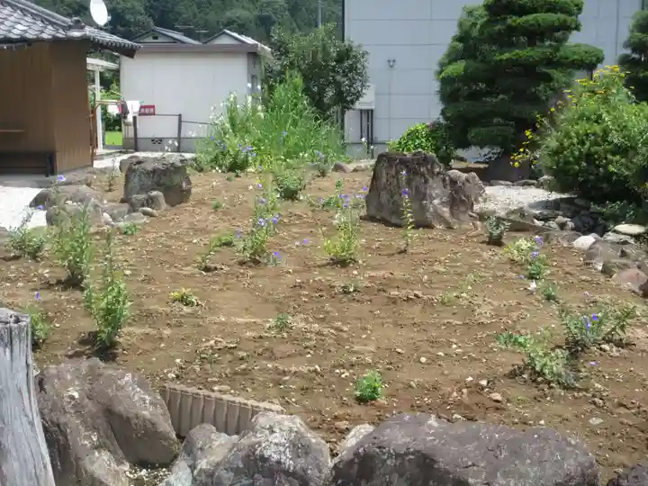 多宝寺(埼玉県)