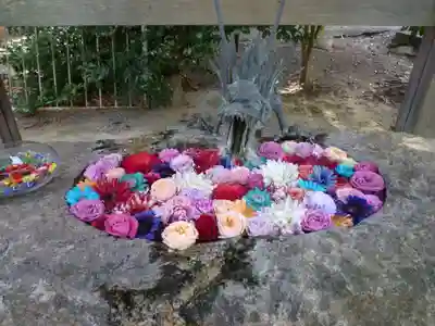 彌都加伎神社の手水舎