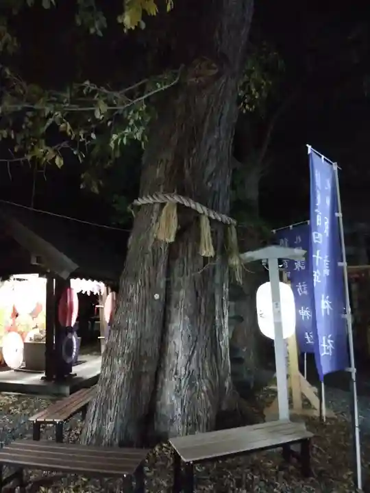 札幌諏訪神社の自然
