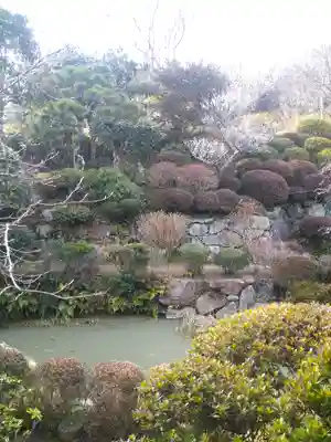 観照寺の庭園