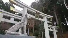 三峯神社の狛犬