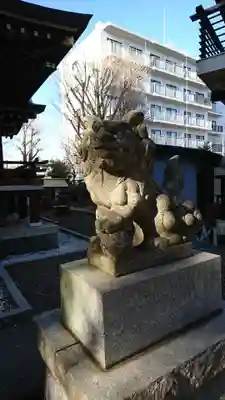 小金八坂神社の狛犬