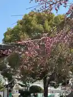 観音神社(広島県)