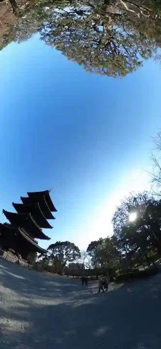 東寺(教王護国寺)(京都府)