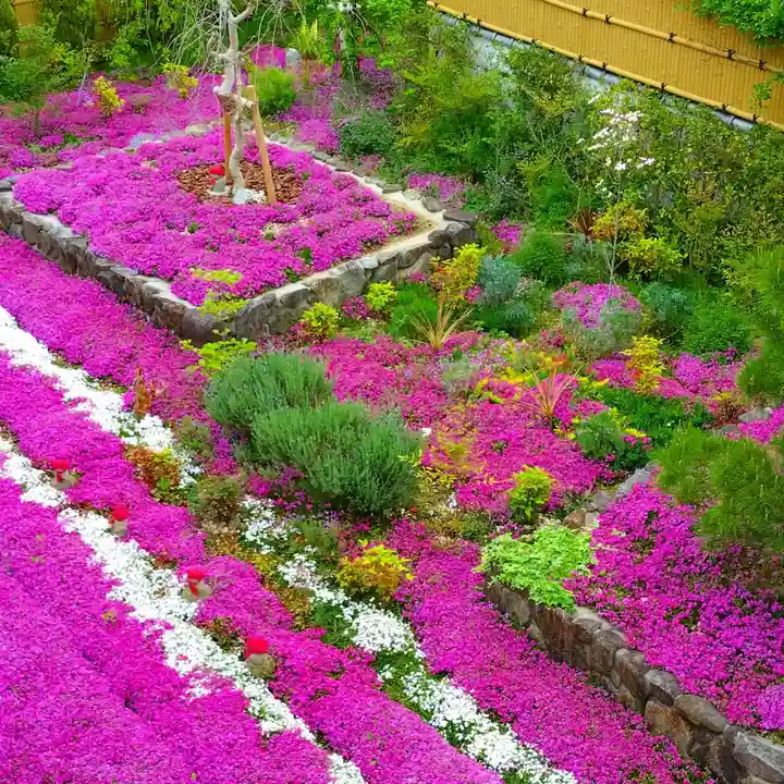 寿量山 速成寺(奈良県)