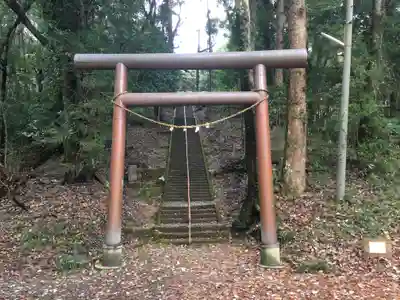 綱神社の鳥居