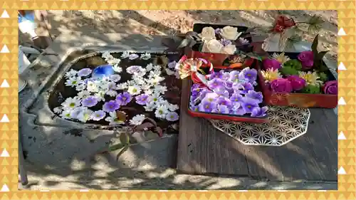 千代ケ岡八幡宮(栃木県)