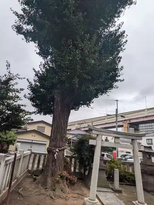 綾瀬神社(東京都)