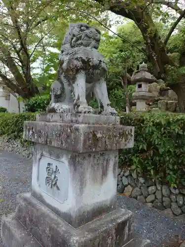 建勲神社の狛犬