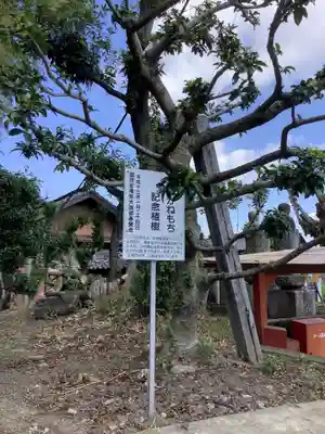 八幡社（宮後町）(愛知県)