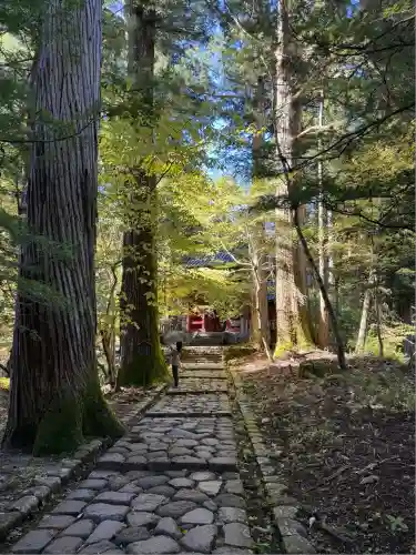 瀧尾神社（日光二荒山神社別宮）(栃木県)