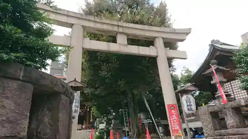 大鳥神社の鳥居