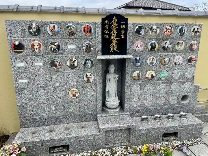 妙典寺の{uncategorized: "未分類", other: "その他", undefined: "問題あり", building: "その他建物", grave: "お墓", sacred_gate: "鳥居", guardian: "狛犬", statue: "像", buddha: "仏像", history: "歴史", nature: "自然", garden: "庭園", animal: "動物", pagoda: "塔", temizu: "手水舎", mountain_gate: "山門・神門", sanctuary: "本殿・本堂", subordinate: "末社・摂社", art: "芸術", scenery: "景色", jizo: "地蔵", ema: "絵馬", goshuin: "御朱印", omikuji: "おみくじ", items: "授与品その他", amulet: "お守り", goshuincho: "御朱印帳", eats: "食事", festival: "お祭り", votive_dance: "神楽", shichigosan: "七五三参", wedding: "結婚式", experience: "体験その他", initially: "初詣", around: "周辺", anti_infection: "感染症対策"}