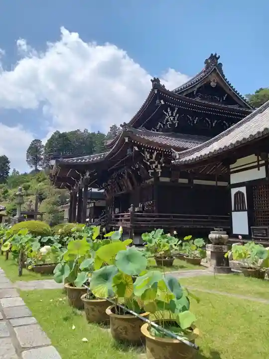 三室戸寺(京都府)