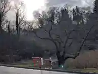 宇賀神さま(福島県)