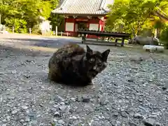 小松寺(千葉県)