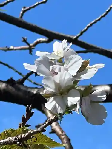 手力雄神社(岐阜県)
