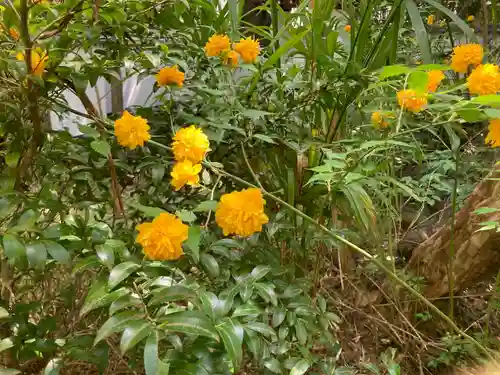 全龍寺(神奈川県)