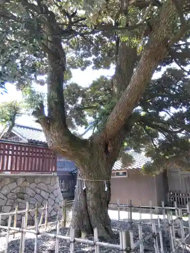 櫟原神社の{uncategorized: "未分類", other: "その他", undefined: "問題あり", building: "その他建物", grave: "お墓", sacred_gate: "鳥居", guardian: "狛犬", statue: "像", buddha: "仏像", history: "歴史", nature: "自然", garden: "庭園", animal: "動物", pagoda: "塔", temizu: "手水舎", mountain_gate: "山門・神門", sanctuary: "本殿・本堂", subordinate: "末社・摂社", art: "芸術", scenery: "景色", jizo: "地蔵", ema: "絵馬", goshuin: "御朱印", omikuji: "おみくじ", items: "授与品その他", amulet: "お守り", goshuincho: "御朱印帳", eats: "食事", festival: "お祭り", votive_dance: "神楽", shichigosan: "七五三参", wedding: "結婚式", experience: "体験その他", initially: "初詣", around: "周辺", anti_infection: "感染症対策"}