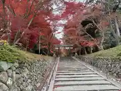 大原野神社(京都府)