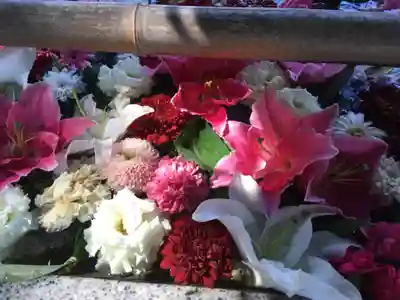 札幌伏見稲荷神社の手水舎