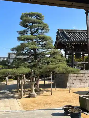 本福寺のその他建物