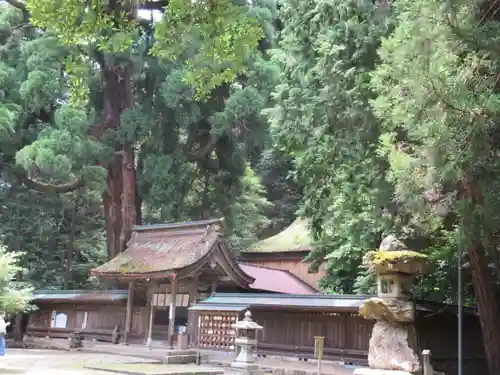 若狭姫神社（若狭彦神社下社）(福井県)