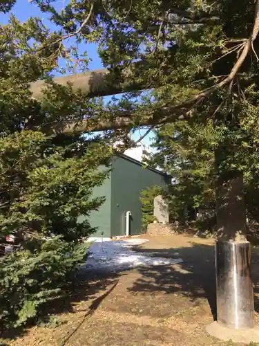 信濃神社の鳥居