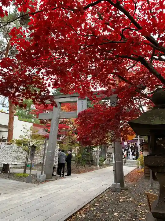 彌彦神社 (伊夜日子神社)の鳥居