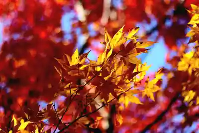 百済寺(滋賀県)