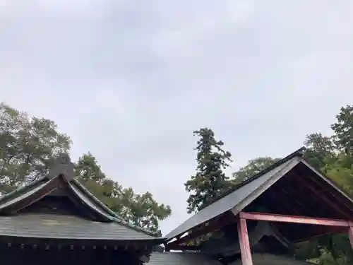 川妻香取神社(茨城県)