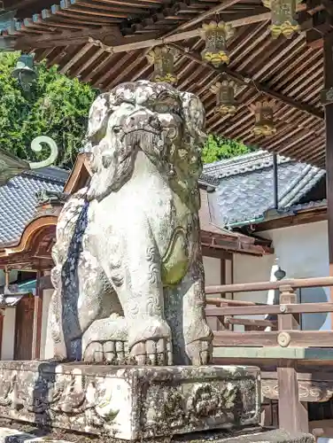 柳谷観音　楊谷寺の狛犬