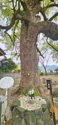 高忍日賣神社の{uncategorized: "未分類", other: "その他", undefined: "問題あり", building: "その他建物", grave: "お墓", sacred_gate: "鳥居", guardian: "狛犬", statue: "像", buddha: "仏像", history: "歴史", nature: "自然", garden: "庭園", animal: "動物", pagoda: "塔", temizu: "手水舎", mountain_gate: "山門・神門", sanctuary: "本殿・本堂", subordinate: "末社・摂社", art: "芸術", scenery: "景色", jizo: "地蔵", ema: "絵馬", goshuin: "御朱印", omikuji: "おみくじ", items: "授与品その他", amulet: "お守り", goshuincho: "御朱印帳", eats: "食事", festival: "お祭り", votive_dance: "神楽", shichigosan: "七五三参", wedding: "結婚式", experience: "体験その他", initially: "初詣", around: "周辺", anti_infection: "感染症対策"}