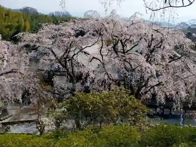 天龍寺の{uncategorized: "未分類", other: "その他", undefined: "問題あり", building: "その他建物", grave: "お墓", sacred_gate: "鳥居", guardian: "狛犬", statue: "像", buddha: "仏像", history: "歴史", nature: "自然", garden: "庭園", animal: "動物", pagoda: "塔", temizu: "手水舎", mountain_gate: "山門・神門", sanctuary: "本殿・本堂", subordinate: "末社・摂社", art: "芸術", scenery: "景色", jizo: "地蔵", ema: "絵馬", goshuin: "御朱印", omikuji: "おみくじ", items: "授与品その他", amulet: "お守り", goshuincho: "御朱印帳", eats: "食事", festival: "お祭り", votive_dance: "神楽", shichigosan: "七五三参", wedding: "結婚式", experience: "体験その他", initially: "初詣", around: "周辺", anti_infection: "感染症対策"}