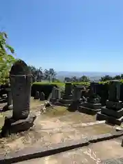 矢田寺(奈良県)