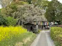慈眼寺(埼玉県)