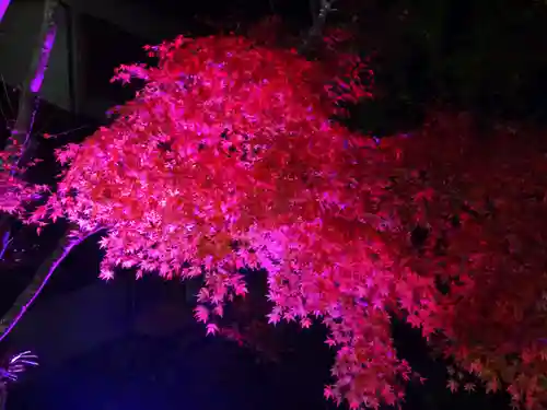 大山阿夫利神社(神奈川県)