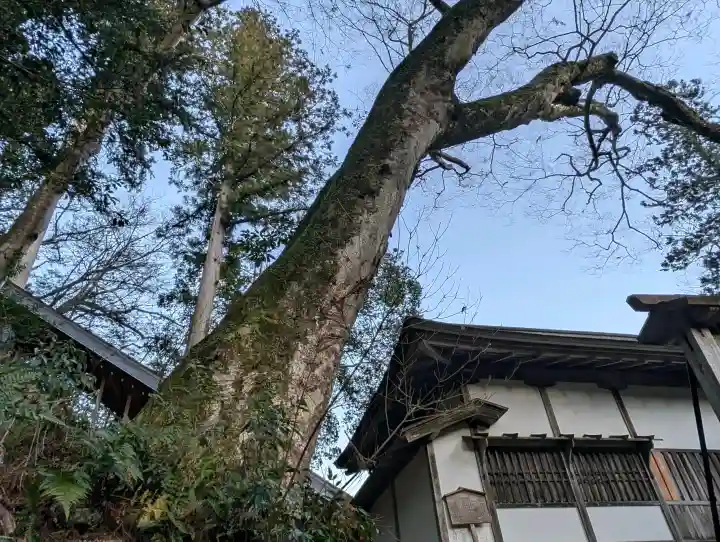 丹生川上神社(下社)の{uncategorized: "未分類", other: "その他", undefined: "問題あり", building: "その他建物", grave: "お墓", sacred_gate: "鳥居", guardian: "狛犬", statue: "像", buddha: "仏像", history: "歴史", nature: "自然", garden: "庭園", animal: "動物", pagoda: "塔", temizu: "手水舎", mountain_gate: "山門・神門", sanctuary: "本殿・本堂", subordinate: "末社・摂社", art: "芸術", scenery: "景色", jizo: "地蔵", ema: "絵馬", goshuin: "御朱印", omikuji: "おみくじ", items: "授与品その他", amulet: "お守り", goshuincho: "御朱印帳", eats: "食事", festival: "お祭り", votive_dance: "神楽", shichigosan: "七五三参", wedding: "結婚式", experience: "体験その他", initially: "初詣", around: "周辺", anti_infection: "感染症対策"}