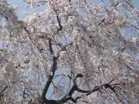 妙福寺(神奈川県)