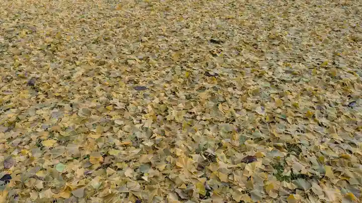 旭川別院(北海道)