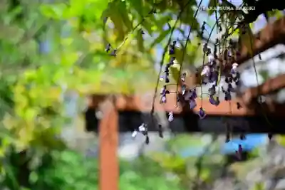 富岡八幡宮(東京都)