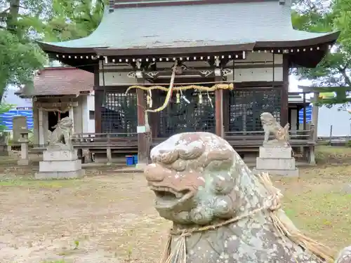 桑津神社の狛犬