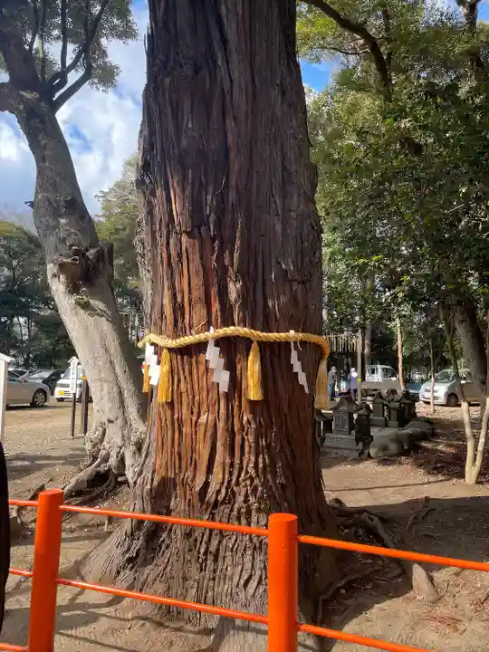 息栖神社(茨城県)