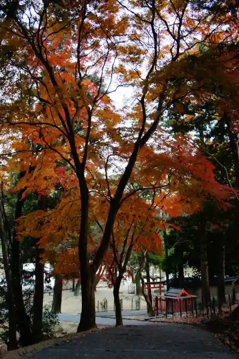 五百立神社(東大寺境内社)(奈良県)