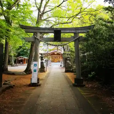 小金井神社の鳥居