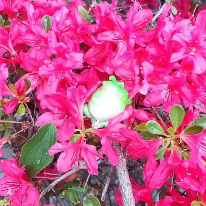 彌彦神社 (伊夜日子神社)の像